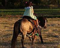 ranch-work-pony
