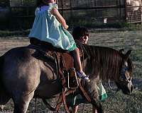roping-pony