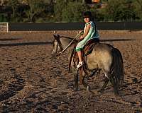 trail-pony