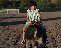 trail-riding-pony