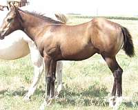 youth-projects-colt