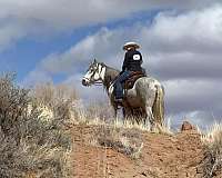 started-un-andalusian-horse