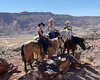 started-un-mare