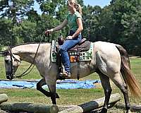 bombproof-quarter-horse