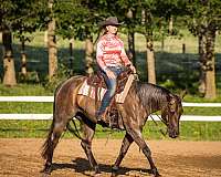 athletic-quarter-horse