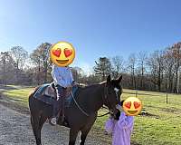buck-quarter-horse