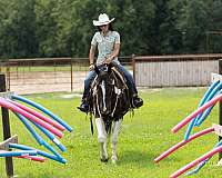 show-hack-paint-horse