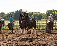 western-riding-paint-horse