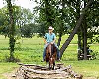 trail-riding-quarter-horse