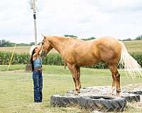 trail-riding-quarter-horse