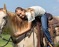 ridden-english-quarter-horse