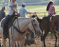 roping-quarter-horse