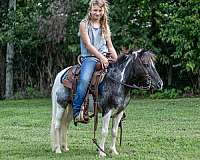 kid-safe-pony