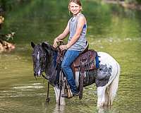 trail-pony