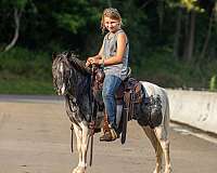 trail-riding-pony