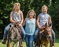 western-riding-pony