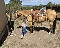 buckskin-star-left-hind-pastern-horse