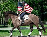 family-safe-draft-donkey