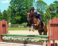 kid-safe-quarter-horse