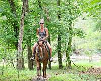 drill-team-quarter-horse