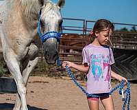 grey-kid-safe-youth-horse