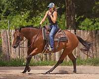 drill-team-quarter-pony