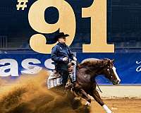 breeding-quarter-horse