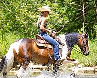 athletic-paint-horse