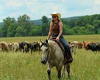 husband-safe-quarter-horse