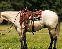 youth-quarter-horse