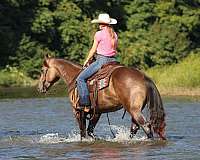 roping-quarter-horse