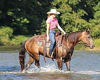 western-riding-quarter-horse