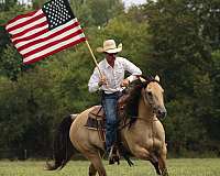 flashy-quarter-horse