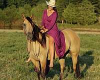 ranch-quarter-horse