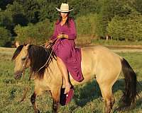 ranch-work-quarter-horse
