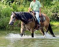 kid-safe-draft-horse
