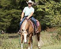 kid-safe-quarter-horse