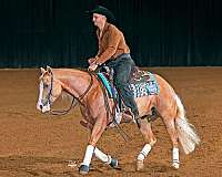 trail-riding-quarter-horse