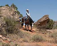 roping-quarter-horse