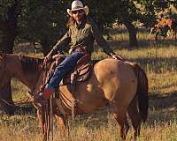 roping-quarter-horse