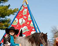 barrel-racing-pony