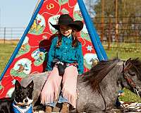 show-pony