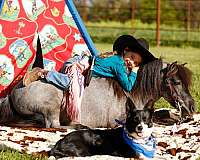 trail-riding-pony