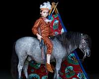 youth-pony