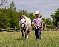 beginner-pony