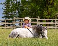 flashy-pony