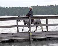 kid-safe-pony