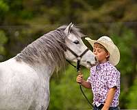 ranch-pony