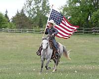 ranch-work-pony