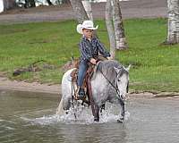trail-pony